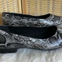 Bella Vita Vivien II Black/White Snake Flats Photo 3