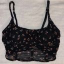 Gilly Hicks Bustier Crop Top Photo 0