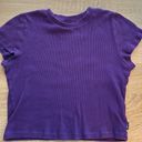 Aritzia Baby Tee In Purple Photo 0