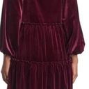 Betsey Johnson NWT  VELVET DRESS Photo 1