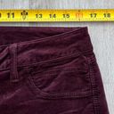 Bebe velveteen heartbreaker long pants Photo 4