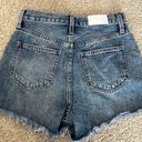 Pistola Distressed Jean Shorts Photo 2