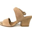 Salvatore Ferragamo  SHEENA SUEDE ANKLE STRAP GANCINI SANDALS SIZE 9 Photo 8