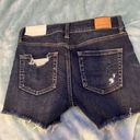 American Eagle Outfitters Shorts Photo 1