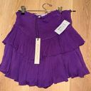 Mustard Seed NWT Ivy & Leo Purple Skirt Photo 0