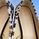 ZARA  Kitten Heel Fall Trend Leopard Print Shoes Photo 3