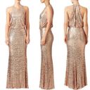 Badgley Mischka  Maria Gown in Blush 16 Womens Long Maxi Gown Photo 2