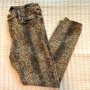 Dear John  Leopard print Giselle size 29 pants. Perfect for Fall Photo 0