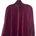 Krass&co Vintage  Ellen Tracy Velour Dress Photo 2