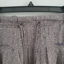 American Eagle  Outfitters Polka Dot Pleated Sheer MIni Circle Skirt Size XS Photo 2