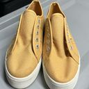 Superga Unisex  Golden Canvas Platform sneaker Photo 5