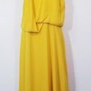 Halston Heritage  Yellow Draped Dress Asymmetrical Cocktail Dress Photo 0