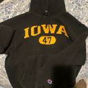 Champion University Of Iowa Hoodie Photo 0