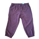 Old Navy  High Rise Jogger Pullon Elastic Waist Cropped Pants NWTs red size 3X Photo 2