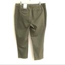 Style & Co  olive ankle cropped chinos 12 Photo 1