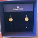 Swavorski Swarovski Rose Gold Teardrop Earrings Photo 0