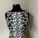 London Times  Floral Print Fit & Flare Dress in Size 12P Photo 1