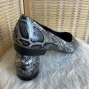 Bella Vita Vivien II Black/White Snake Flats Photo 2