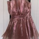 Nasty Gal Metallic Organza Mini Dress Photo 1