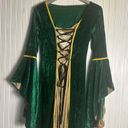 Spirit Halloween Costume Green Velour Maxi Long Sleeve Dress Witch Sanderson Goth Photo 2