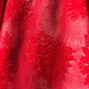 Show Me Your Mumu Vibrant Red  Risque Mesh & Embroidered Lace Slip Dress Photo 8