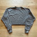 Brandy Melville  Cropped Sweatshirt in Gray Taupe Color Photo 0