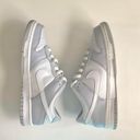 Nike Dunk Low Two-Toned Grey Pure Platinum Wolf Grey Photo 0