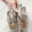 DV by Dolce Vit Sher Perforated Snakeskin Booties Photo 4