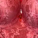 Daisy Fuentes Medium Coral Pink #Lace Bodysuit Photo 2