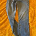 Ralph Lauren Lauren  Classic Straight Leg Blue Jean NWOT Photo 0