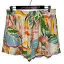 Flying Tomato NWOT Vici Collection  High Rise Shorts Size XL Photo 0