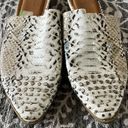 DV by Dolce Vit Dolce Vita Studded Snake Flats  Photo 2