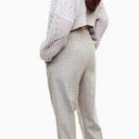 Wilfred Aritzia  Chambery Pant Cropped Pleated Trouser Wool Cashmere Gray Size 0 Photo 1