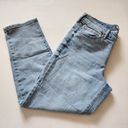 Wonderly  Light Wash Slim Boyfriend Denim Ankle Jeans Size 12 Photo 2