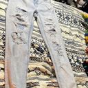 American Eagle Outfitters Mom Jeans Photo 0