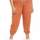 Treasure & Bond  Boyfriend Sweatpants Rust Umber Size 3X Photo 1