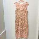 Bisou Bisou Blush Pink Lace dress size 8. Photo 4