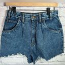 Bill Blass Bill Bass vintage high rise cut off denim shorts dark wash women’s size 10 Photo 0