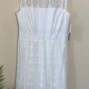 London Times  PETITE white lace dress Photo 0