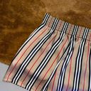 Burberry New  Icon Striped Silk Shorts Photo 8