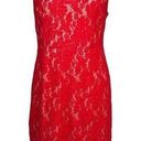 Sans Souci  Red Lace Halter Sleeveless bodycon Dress Size XL Photo 0