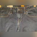 Pilcro Anthropology  Jeans - Size 29 Photo 5