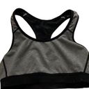 Champion Target Sports Bra Photo 0