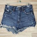 Abercrombie & Fitch Curve Love High Rise Mom Short Distressed Womens Size 27/4 Photo 0