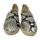 Circus by Sam Edelman Sam Edelman Laila Snakeprint Espadrille Flats SZ 7 Photo 2