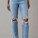 American Eagle Strigid Ripped Mom Jean Photo 0