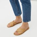 Everlane  The Day Crossover Sandals in Light Taupe 9 New Womens Slides Flats Photo 2