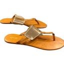 Apt. 9  Metal Cuff Flat Brown Thong Sandals Size Large 9/10 Photo 5