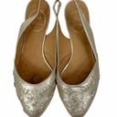 Jack Rogers  Gold Rory Slip On Slingback Flats Pointed Toe Size 7M Photo 0