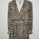 Divided  H&M Leopard Print Dress Women's Fit and Flare Tan Size 4 Long Sleeve Tan Photo 2